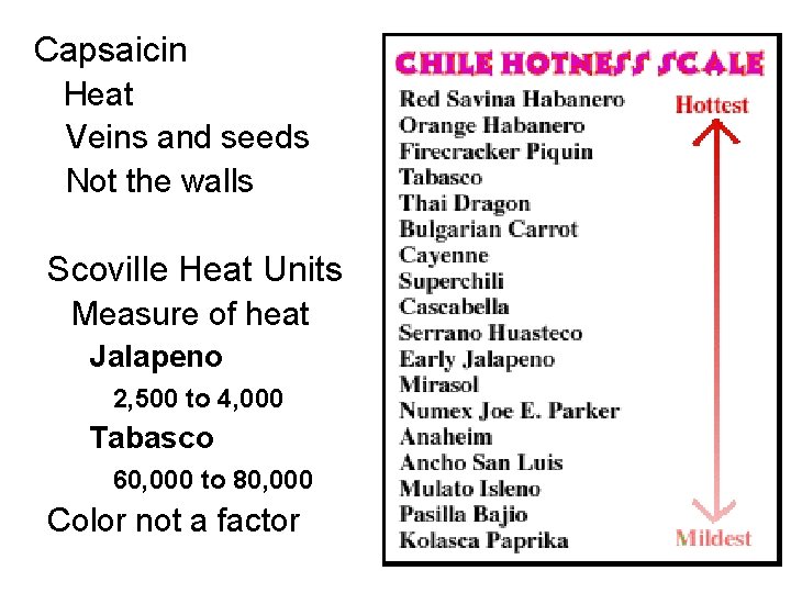 Capsaicin Heat Veins and seeds Not the walls Scoville Heat Units Measure of heat