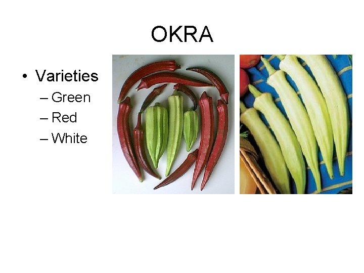 OKRA • Varieties – Green – Red – White 
