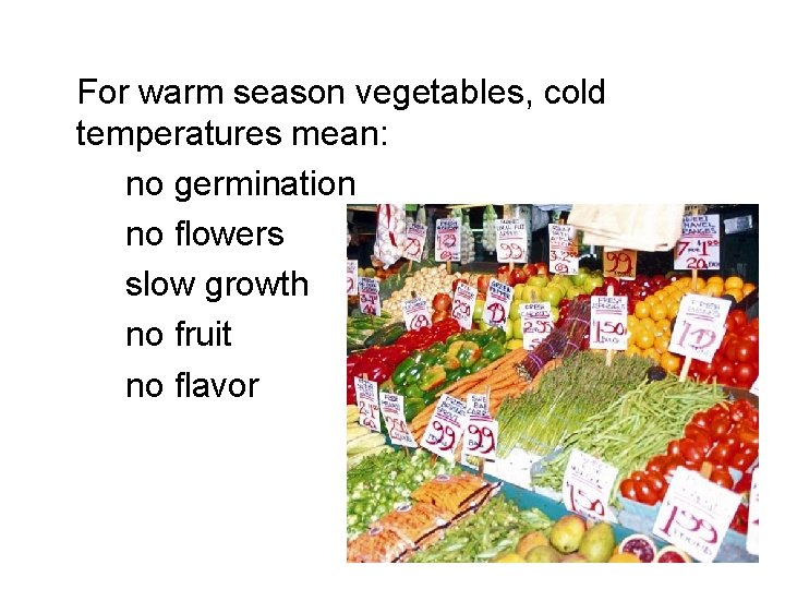 For warm season vegetables, cold temperatures mean: no germination no flowers slow growth no