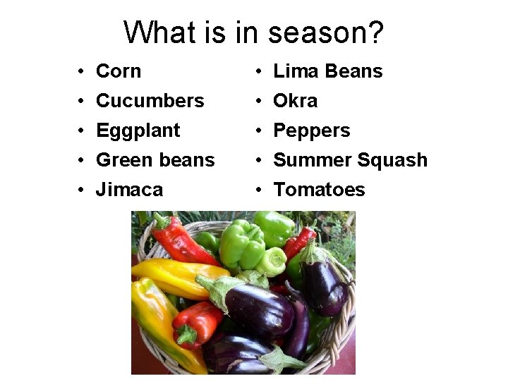 What is in season? • • • Corn Cucumbers Eggplant Green beans Jimaca •