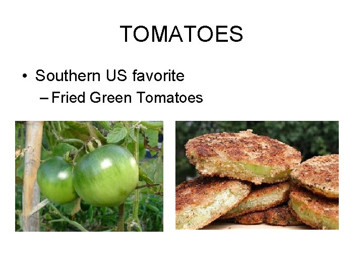 TOMATOES • Southern US favorite – Fried Green Tomatoes 