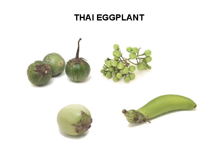 THAI EGGPLANT 