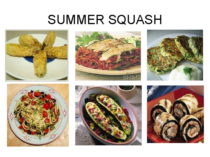 SUMMER SQUASH 