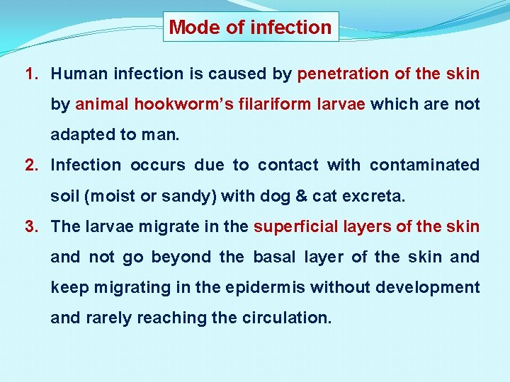 Mode of infection 1. Human infection is caused by penetration of the skin by