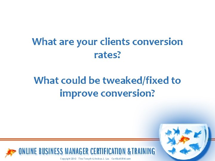 What are your clients conversion rates? What could be tweaked/fixed to improve conversion? Copyright