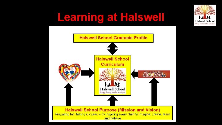 Learning at Halswell 