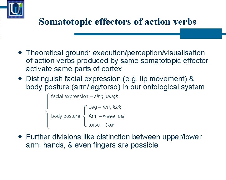 Somatotopic effectors of action verbs Theoretical ground: execution/perception/visualisation of action verbs produced by same