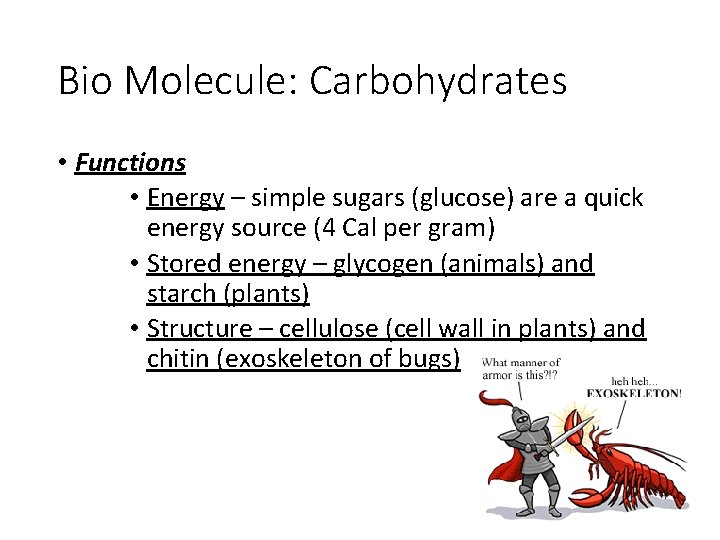 Bio Molecule: Carbohydrates • Functions • Energy – simple sugars (glucose) are a quick