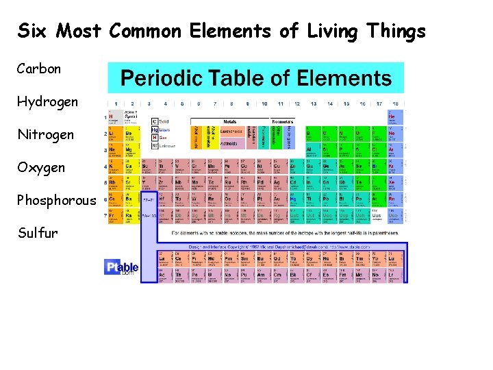 Six Most Common Elements of Living Things Carbon Hydrogen Nitrogen Oxygen Phosphorous Sulfur 