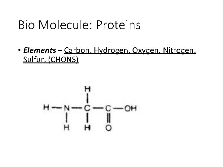 Bio Molecule: Proteins • Elements – Carbon, Hydrogen, Oxygen, Nitrogen, Sulfur, (CHONS) 