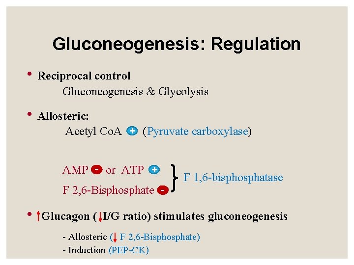 Gluconeogenesis: Regulation • Reciprocal control Gluconeogenesis & Glycolysis • Allosteric: Acetyl Co. A +