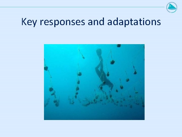 Key responses and adaptations 