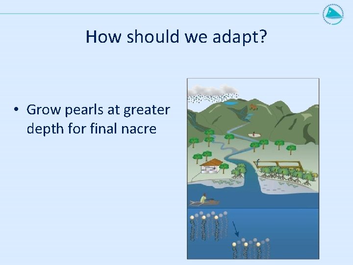 How should we adapt? • Grow pearls at greater depth for final nacre 