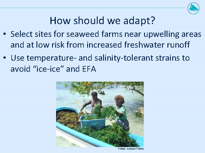 How should we adapt? • Select sites for seaweed farms near upwelling areas and