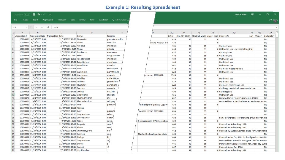 Example 1: Resulting Spreadsheet Example 1: Resulting Spreadsheet