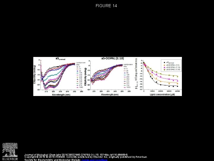 FIGURE 14 Journal of Biological Chemistry 2015 29027660 -27679 DOI: (10. 1074/jbc. M 115.