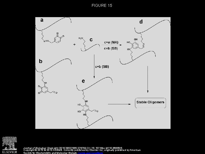 FIGURE 15 Journal of Biological Chemistry 2015 29027660 -27679 DOI: (10. 1074/jbc. M 115.