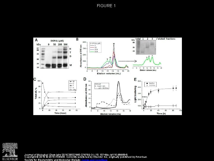 FIGURE 1 Journal of Biological Chemistry 2015 29027660 -27679 DOI: (10. 1074/jbc. M 115.