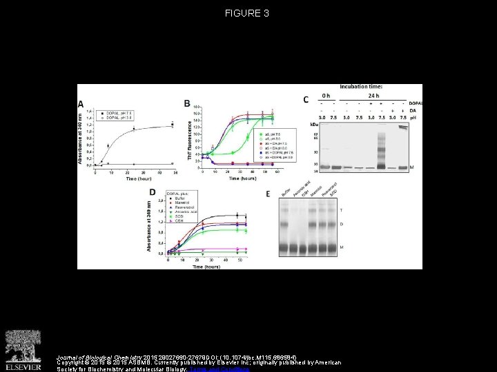 FIGURE 3 Journal of Biological Chemistry 2015 29027660 -27679 DOI: (10. 1074/jbc. M 115.