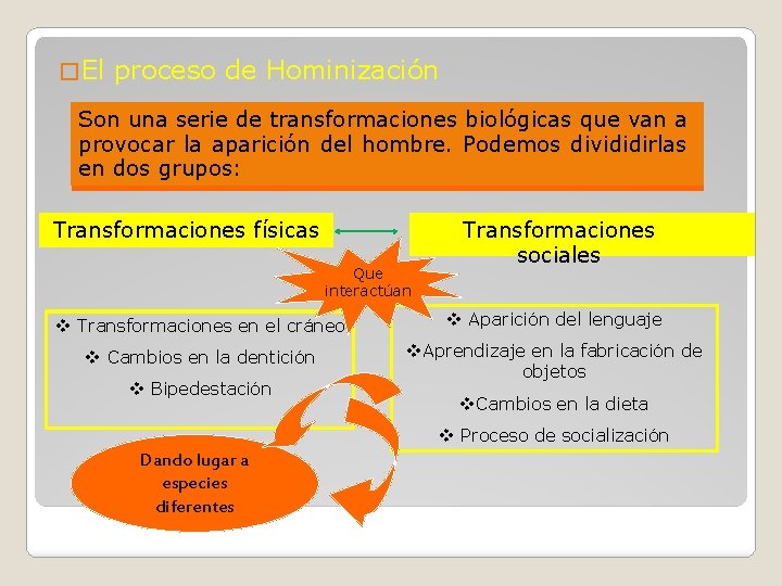 � El proceso de Hominización Son una serie de transformaciones biológicas que van a