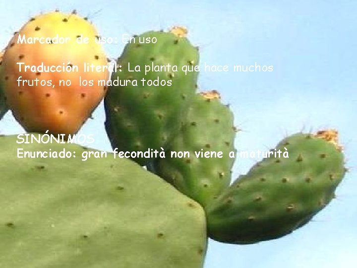 Marcador de uso: En uso Traducción literal: La planta que hace muchos frutos, no