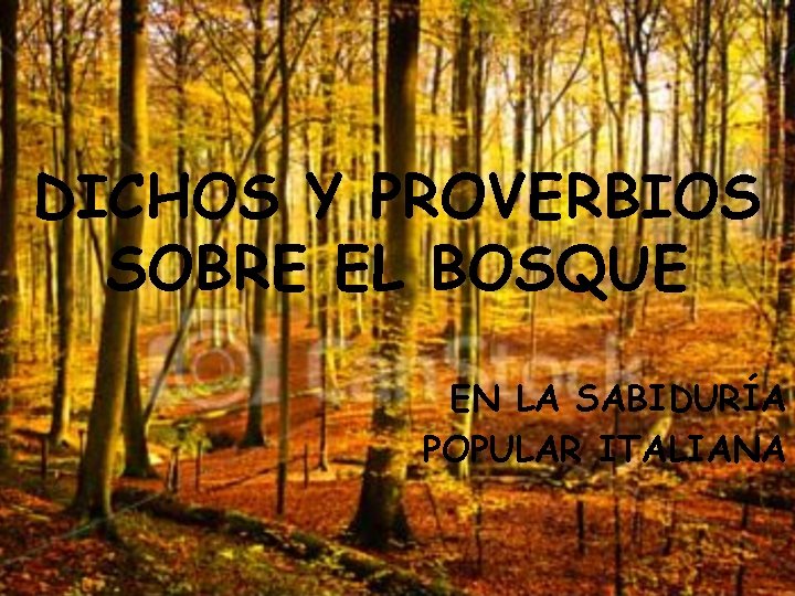 DICHOS Y PROVERBIOS SOBRE EL BOSQUE EN LA SABIDURÍA POPULAR ITALIANA 