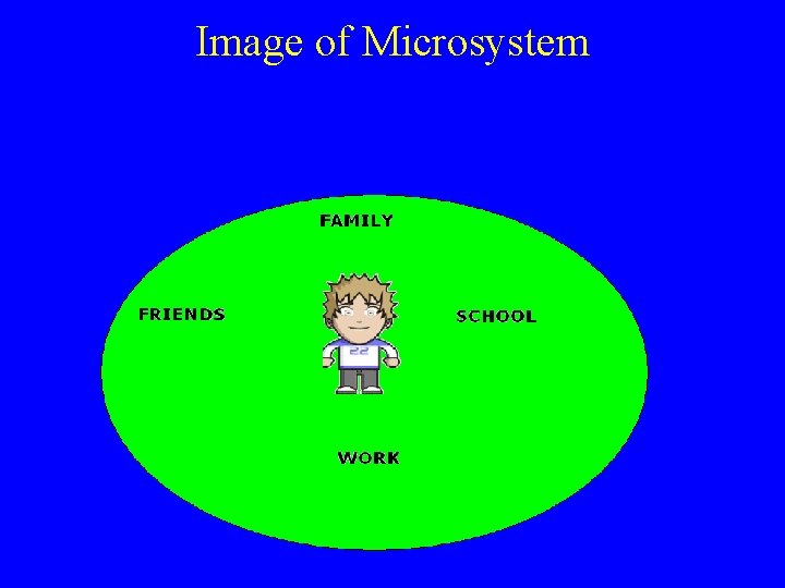 Image of Microsystem 