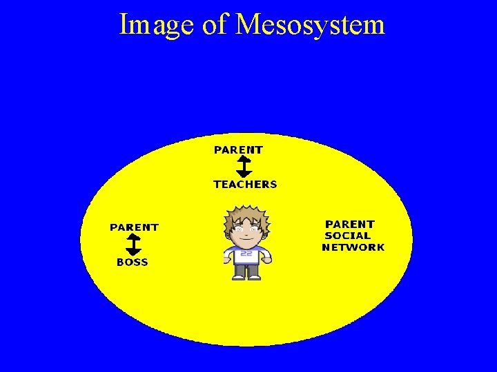 Image of Mesosystem 