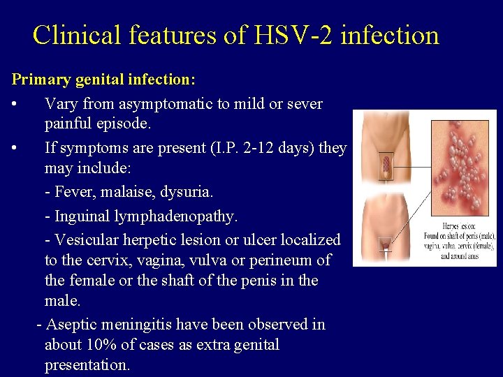 Clinical features of HSV-2 infection Primary genital infection: • Vary from asymptomatic to mild