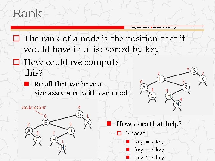 Rank Computer Science Otterbein University o The rank of a node is the position