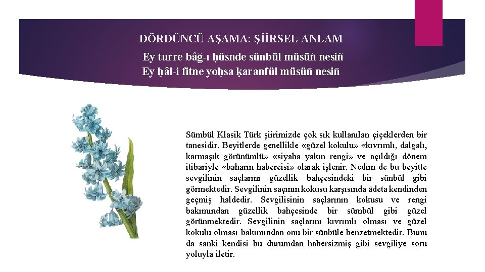 DÖRDÜNCÜ AŞAMA: ŞİİRSEL ANLAM Ey turre bâğ-ı ḥüsnde sünbül müsüñ nesiñ Ey ḫâl-i fitne