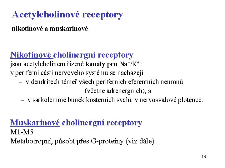 Acetylcholinové receptory nikotinové a muskarinové. Nikotinové cholinergní receptory jsou acetylcholinem řízené kanály pro Na+/K+