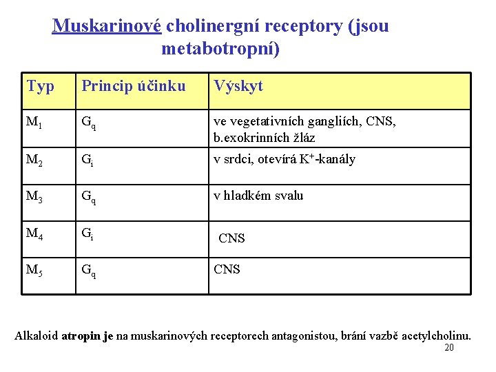Muskarinové cholinergní receptory (jsou metabotropní) Typ Princip účinku Výskyt M 1 Gq ve vegetativních
