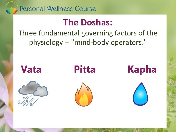 The Doshas: Three fundamental governing factors of the physiology -- "mind-body operators. " Vata