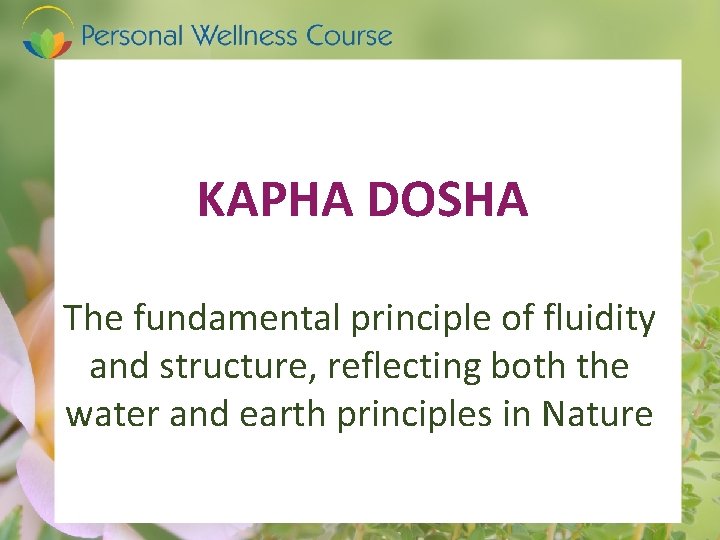 KAPHA DOSHA The fundamental principle of fluidity and structure, reflecting both the water and