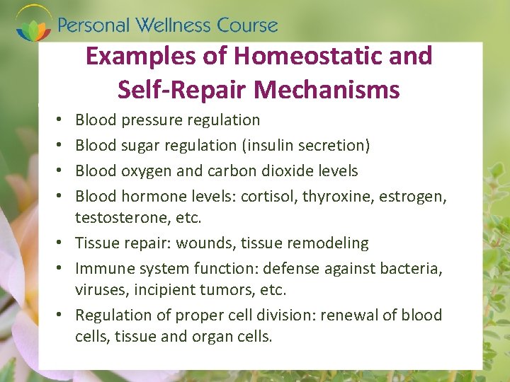 Examples of Homeostatic and Self-Repair Mechanisms Blood pressure regulation Blood sugar regulation (insulin secretion)