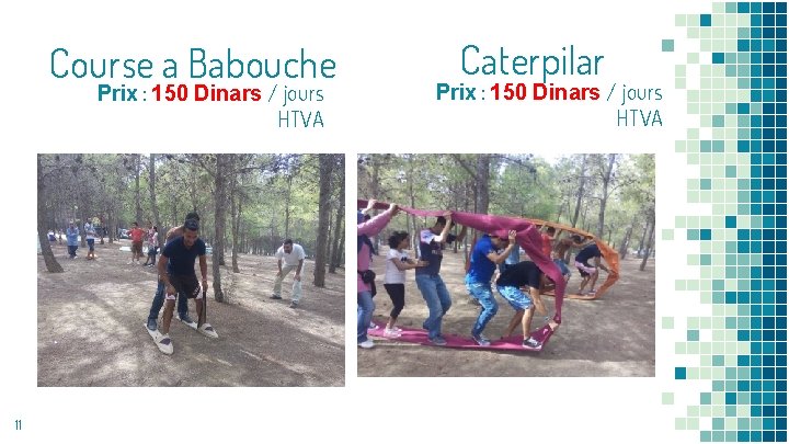 Course a Babouche Prix : 150 Dinars / jours HTVA 11 Caterpilar Prix :