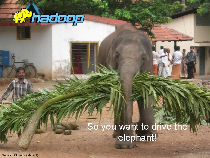 So you want to drive the elephant! Source: Wikipedia (Mahout) 