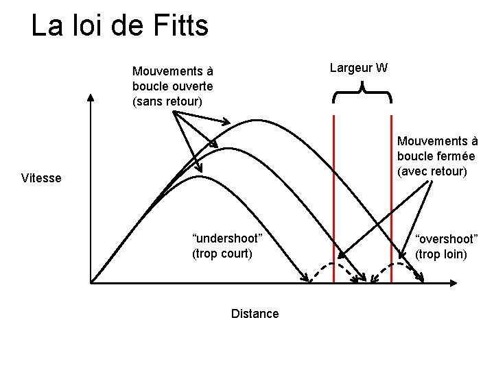 La loi de Fitts Largeur W Mouvements à boucle ouverte (sans retour) Mouvements à