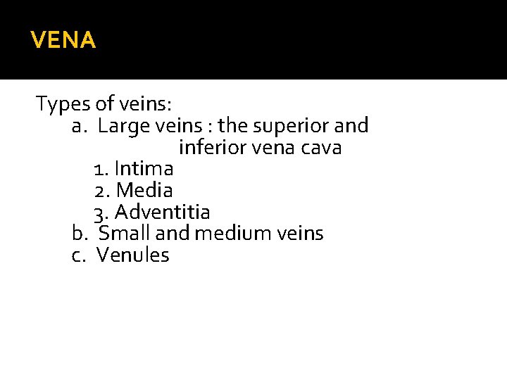 VENA Types of veins: a. Large veins : the superior and inferior vena cava