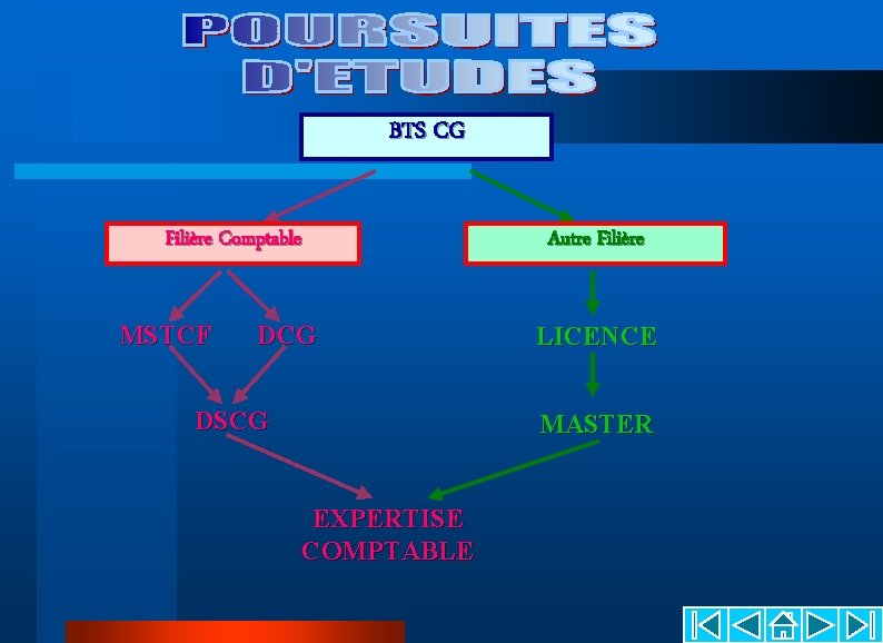 BTS CG Filière Comptable MSTCF DCG DSCG Autre Filière LICENCE MASTER EXPERTISE COMPTABLE BTS CG Filière Comptable MSTCF DCG DSCG Autre Filière LICENCE MASTER EXPERTISE COMPTABLE