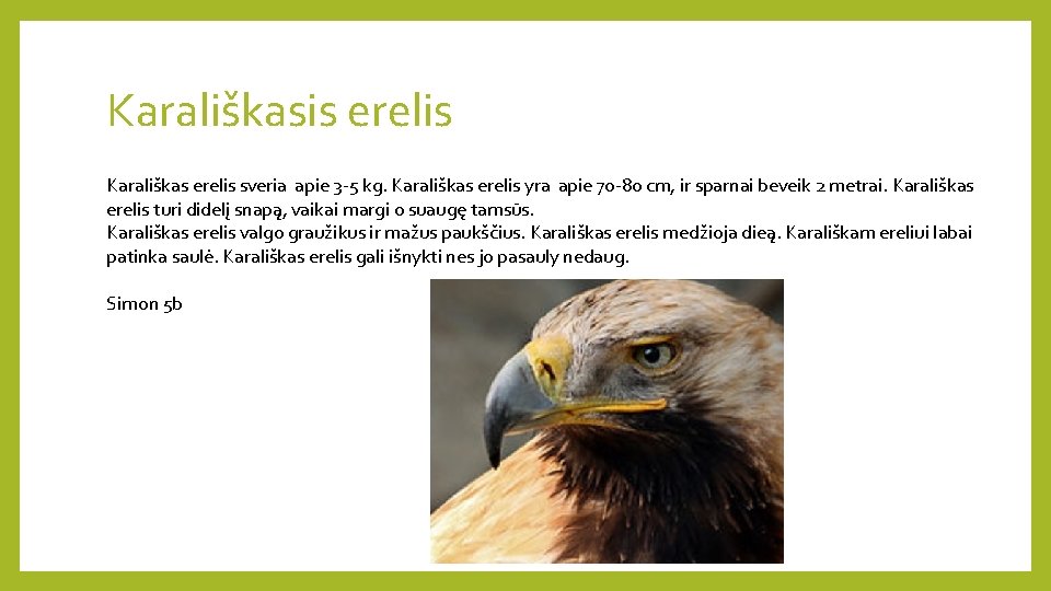 Karališkasis erelis Karališkas erelis sveria apie 3 -5 kg. Karališkas erelis yra apie 70