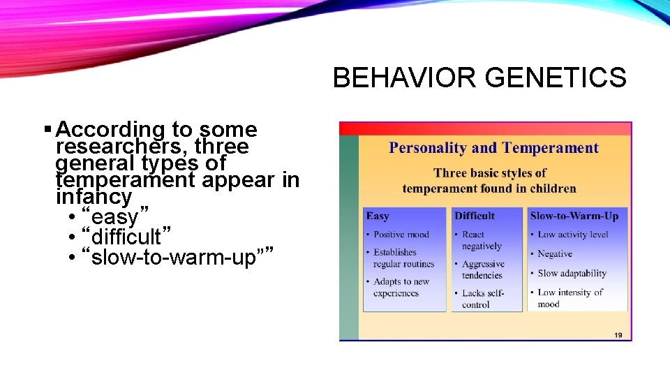 BEHAVIOR GENETICS § According to some researchers, three general types of temperament appear in