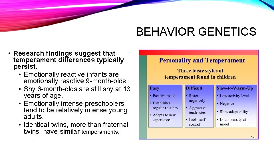 BEHAVIOR GENETICS • Research findings suggest that temperament differences typically persist. • Emotionally reactive