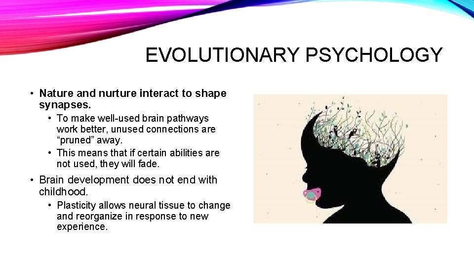 EVOLUTIONARY PSYCHOLOGY • Nature and nurture interact to shape synapses. • To make well-used
