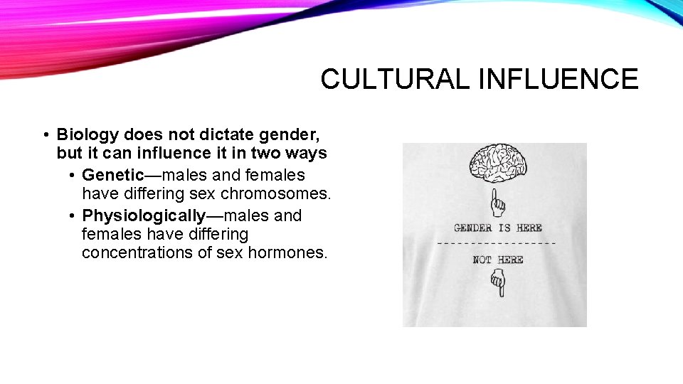 CULTURAL INFLUENCE • Biology does not dictate gender, but it can influence it in