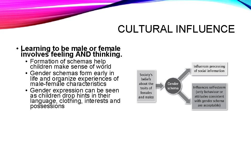 CULTURAL INFLUENCE • Learning to be male or female involves feeling AND thinking. •