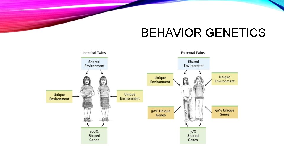 BEHAVIOR GENETICS 