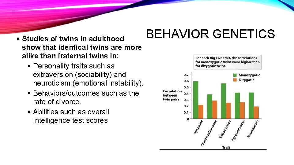§ Studies of twins in adulthood show that identical twins are more alike than