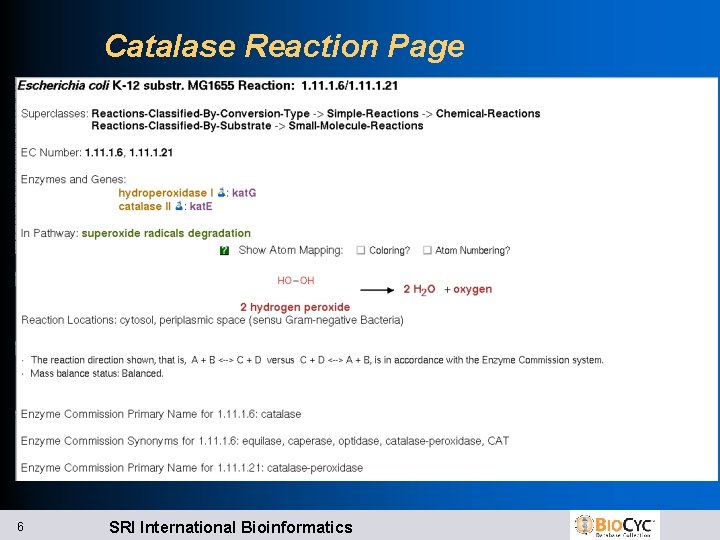 Catalase Reaction Page 6 SRI International Bioinformatics 